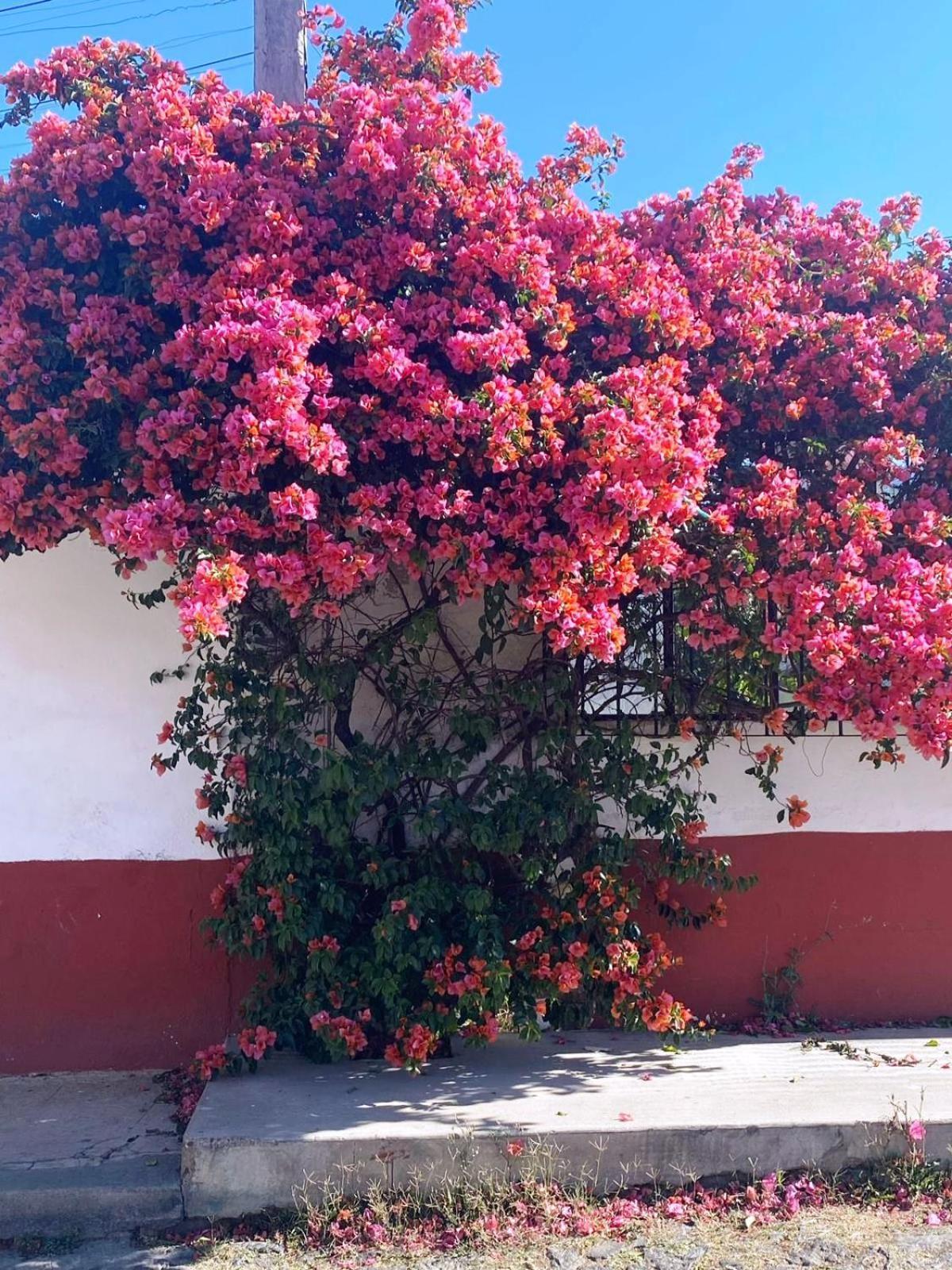 Hotel Posada Camelinas 파츠쿠아로 외부 사진